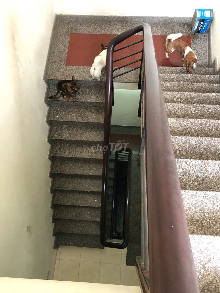 House 2 bedroom 4.2 X13 M2_ Đào Duy Từ, District 10