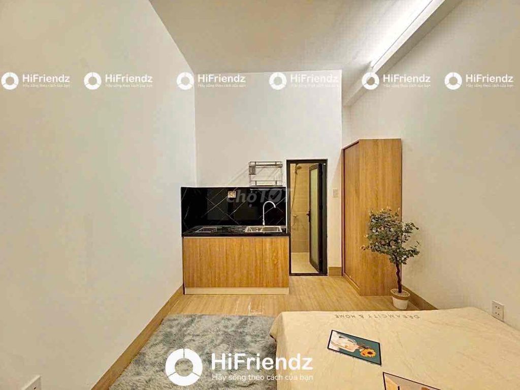 Rent Mini Full Seven Houses at Tân Phú District Center.