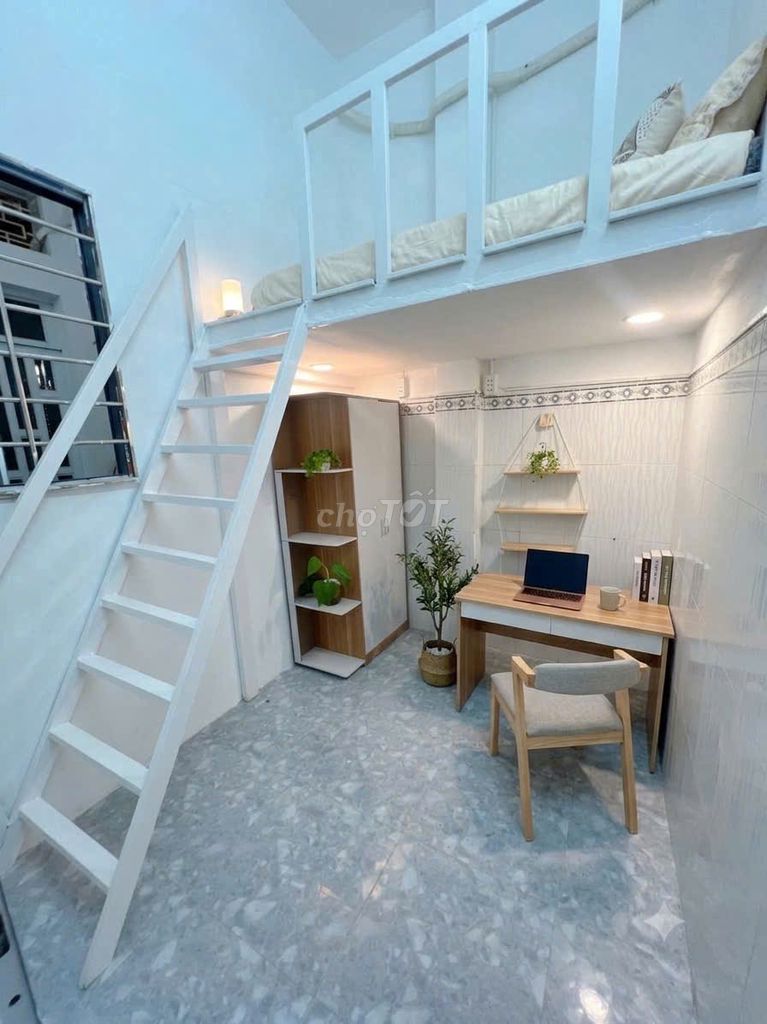The owner rented the Lũy Bán Bích lotum. 2.5 million. 3.2 million. Five million.