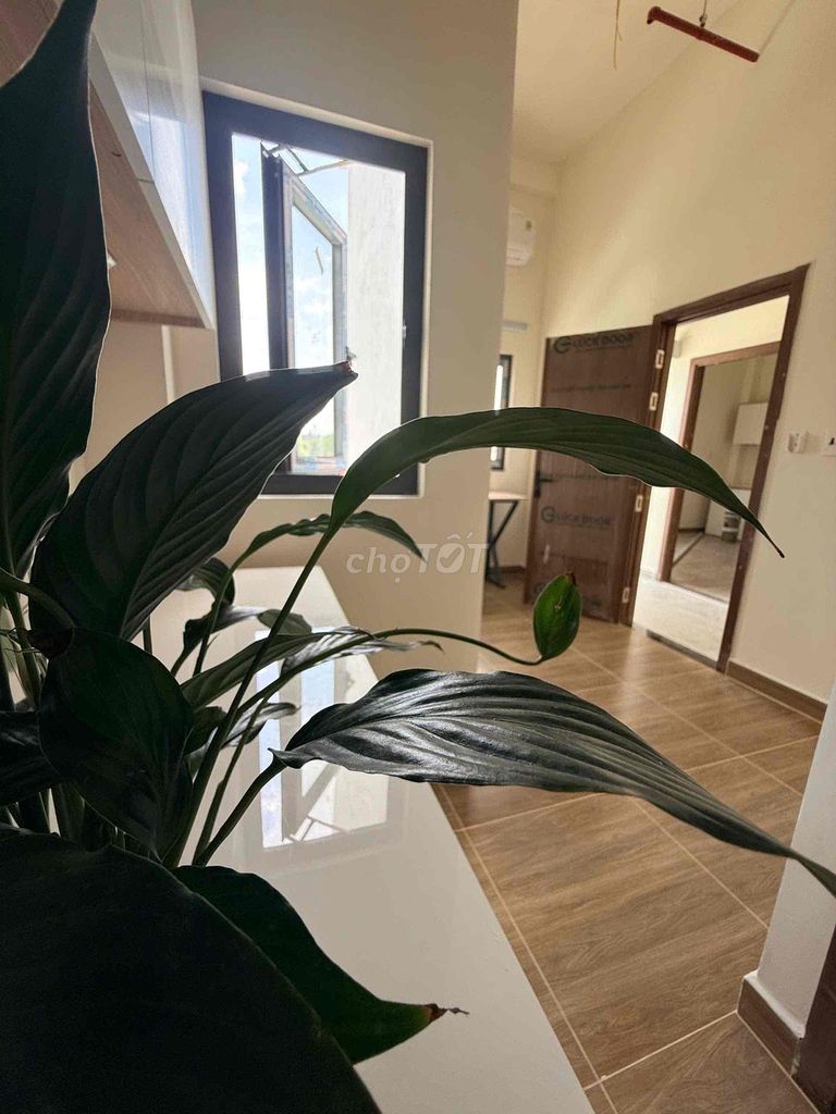 New room 100% at Thủ Đức