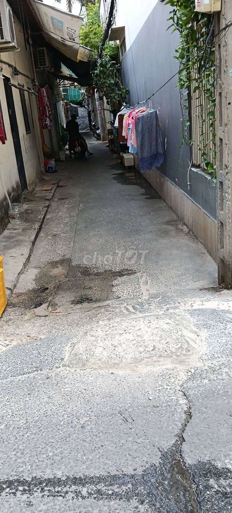 ground room near the tree market