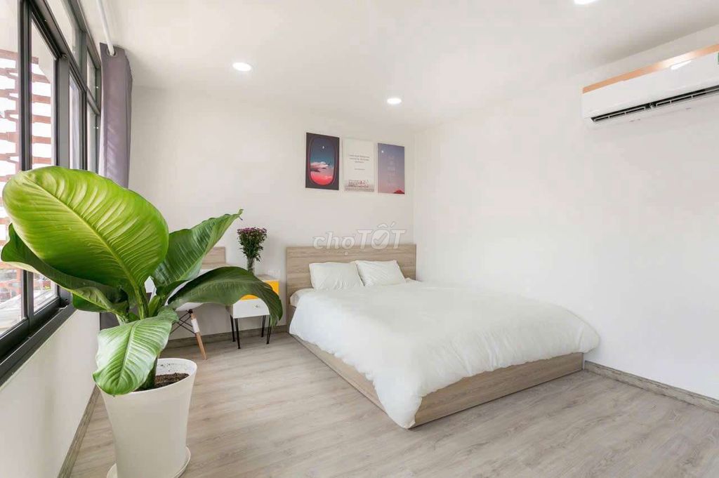 The studio apartment 1 .40 m .Full Seven near the Holy Church, the Turtle Lake