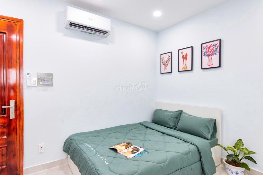 Like Berlicot back to his nice, clean, safe, quiet apartment.