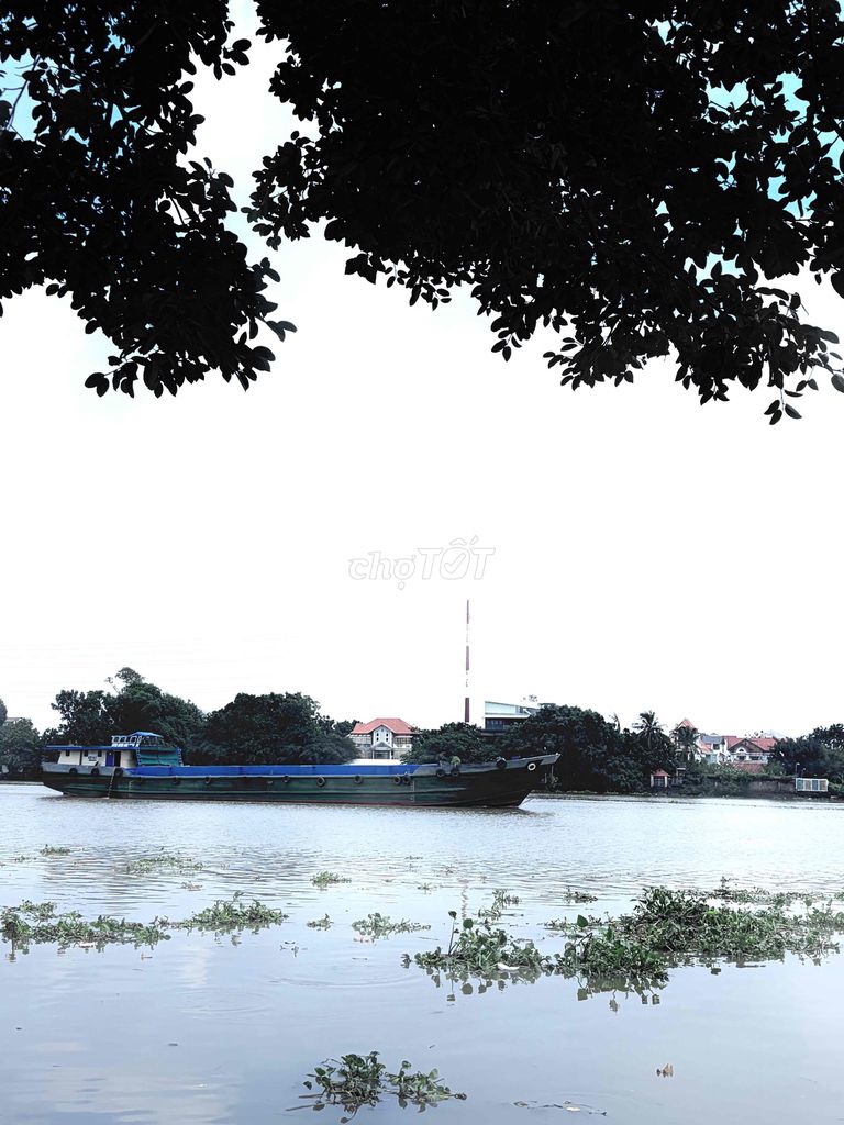 Three hundred and twenty-eight million, 204, Bình Thạnh.