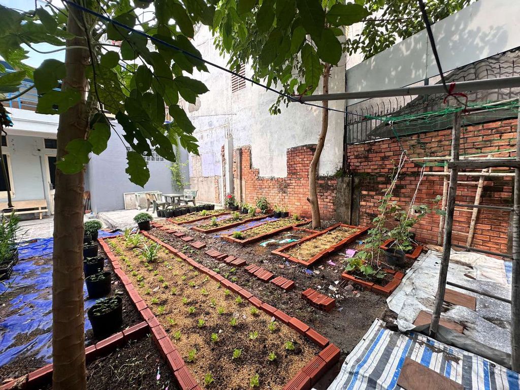 The original home has a garden of chicken growing plants - Bình Thạnh - a total of 160 meters - 2