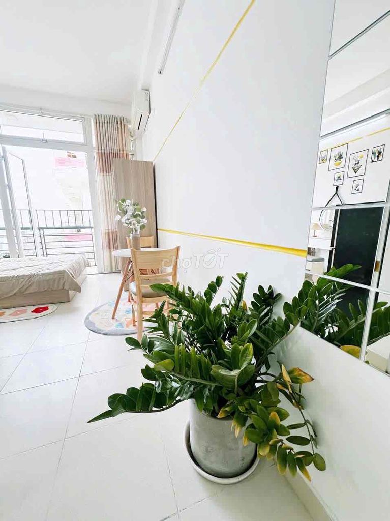 Opening the Bancol studio to welcome wind near the harem market.