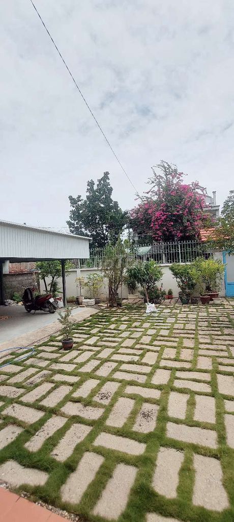 The 600-metre garden house near the Head market, at peace.