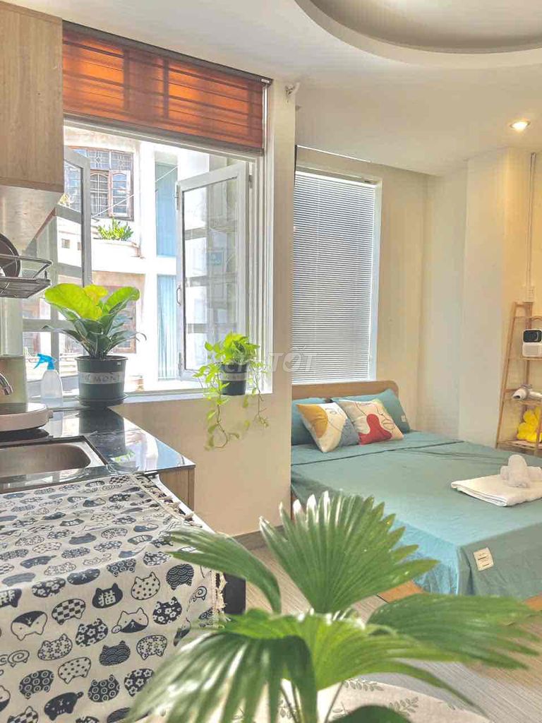 Opening the new mini apartment 100%.