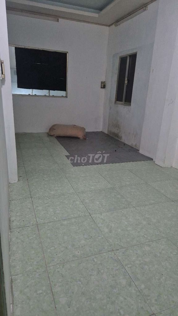 rented house