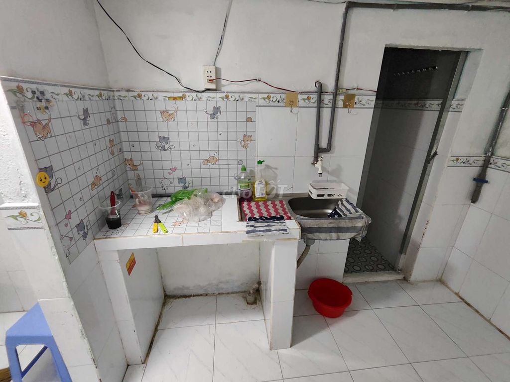 Rent the entire house on the day of the Conveyed Tree and School of Staff.