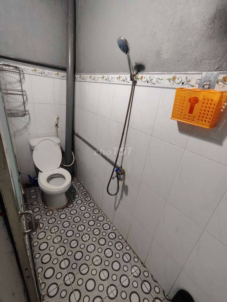 Rent the entire house on the day of the Conveyed Tree and School of Staff.