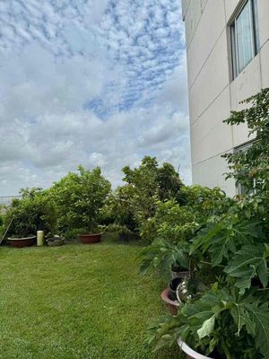 Rent apartment belleza 7 corners, yard, 80 M2,2 bedrooms, 7 million a month.
