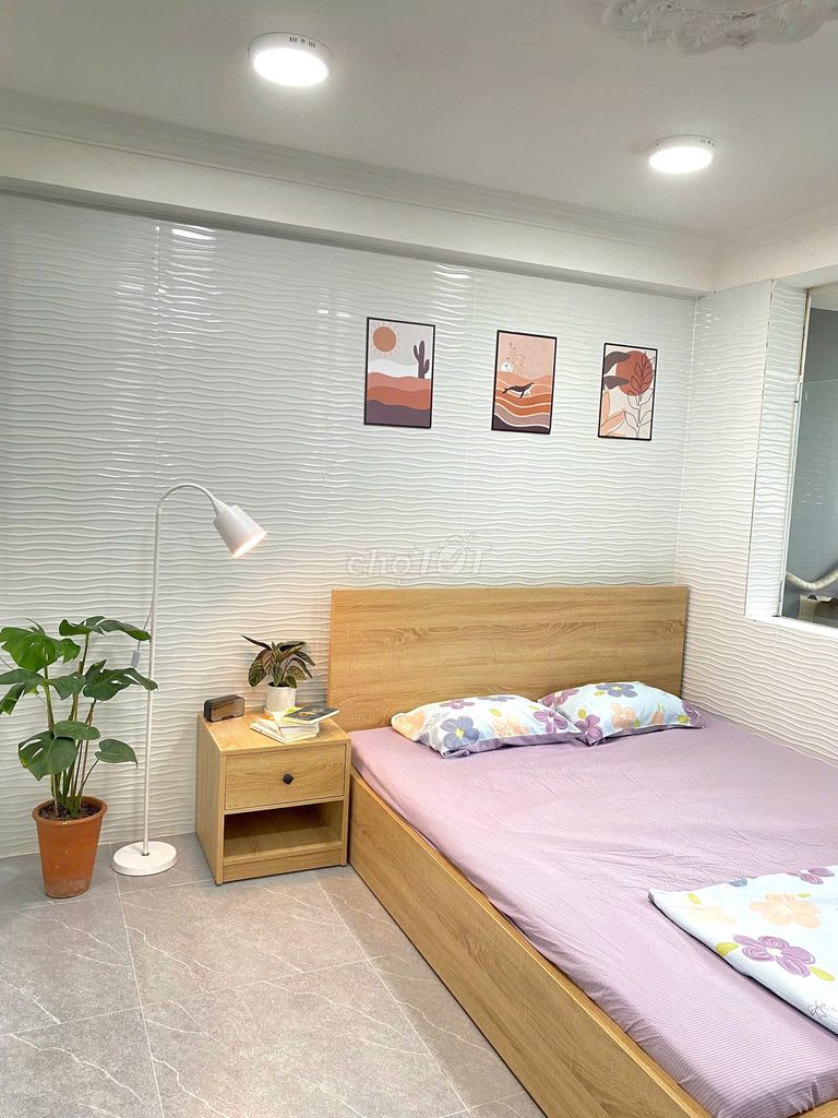 Studio Room, full interior, Thích Quảng Đức, bedroom