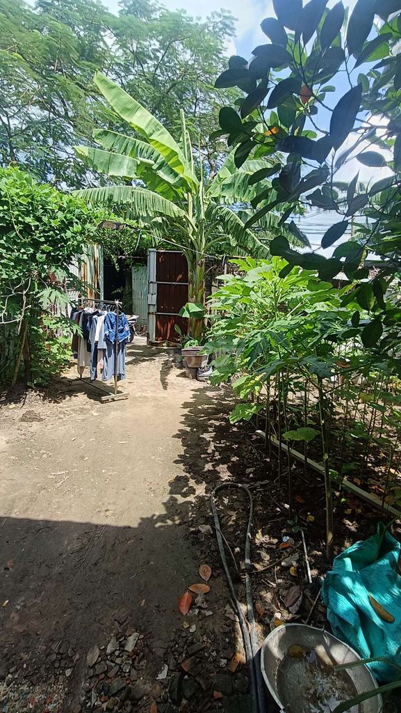 Garden 8*25 has the Vĩnh Lộc B Chief Channel House