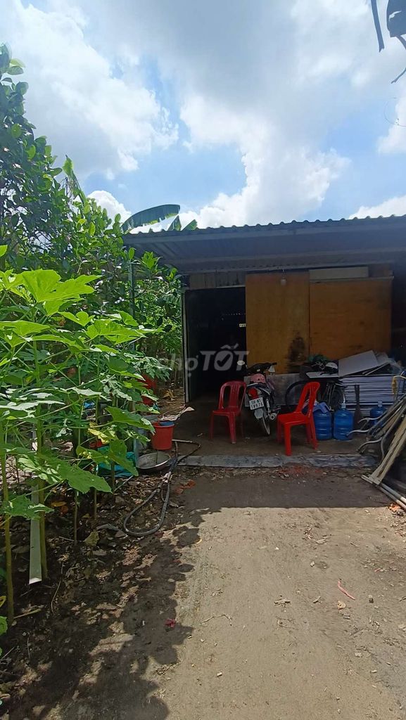 Garden 8*25 has the Vĩnh Lộc B Chief Channel House