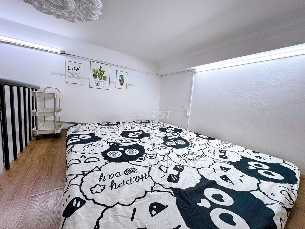 He's staying in a loft at Gò Vấp for only 3 million7.