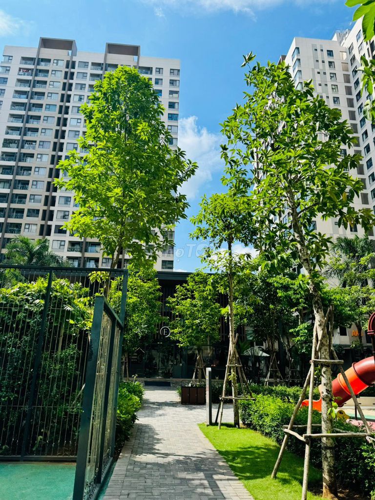 We'll get you two Akari City 75 M2 full interiors for 11 million.