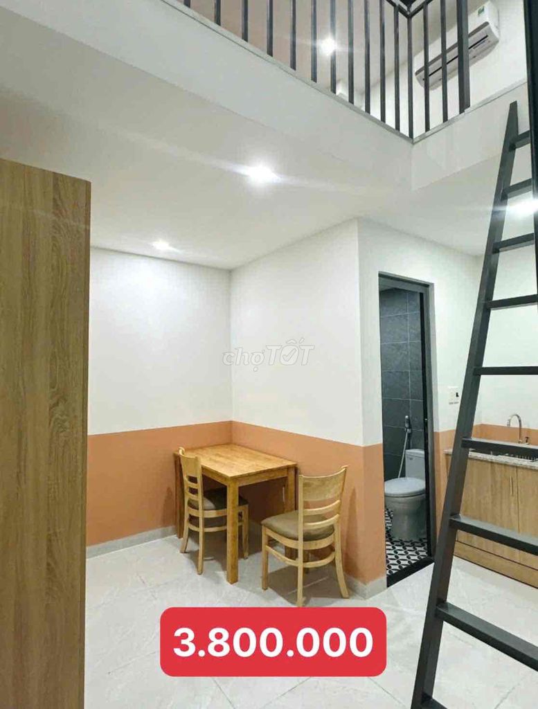 Return to the country, so get back to your room.