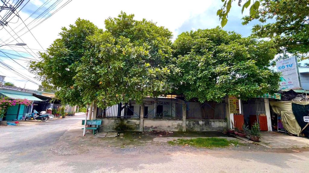 The front house on the corner.