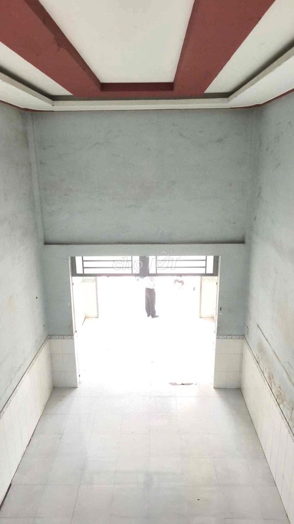 Rent a cash house with 26 known embolics near the clean market.