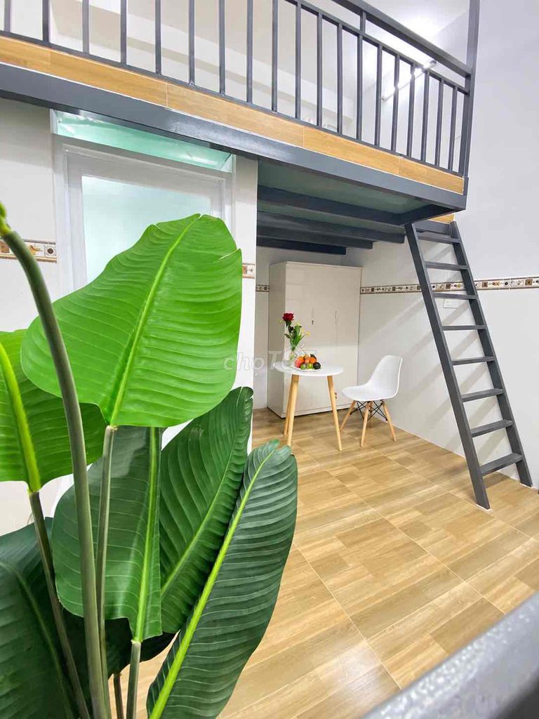 Rent the House of Seven near the University of Public Trade.