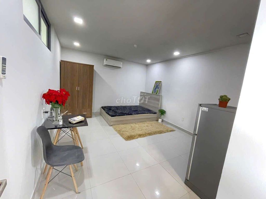 The studio is full of rich, beautiful rooms