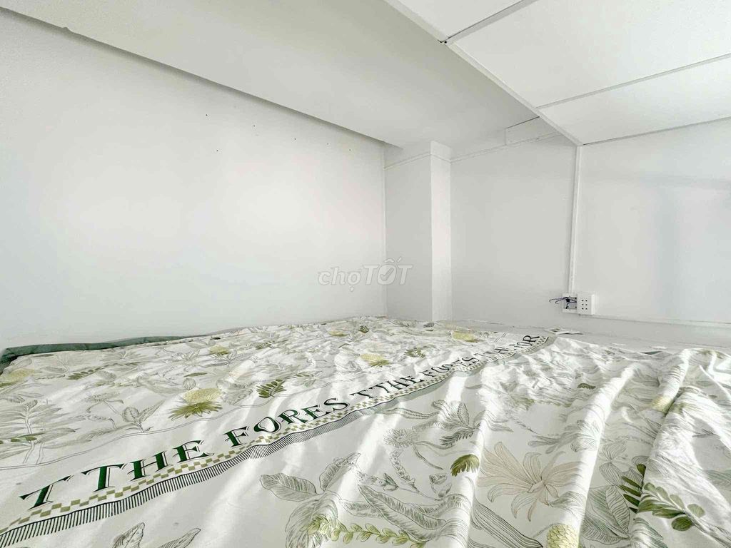 Rent the new Seven Room near Sen's Peace Hall.