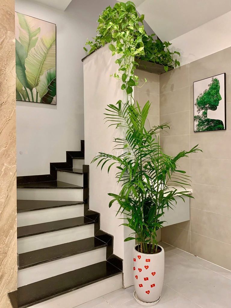 Rent the house right next to Vin 2, 5 floors with elevators, full interior.