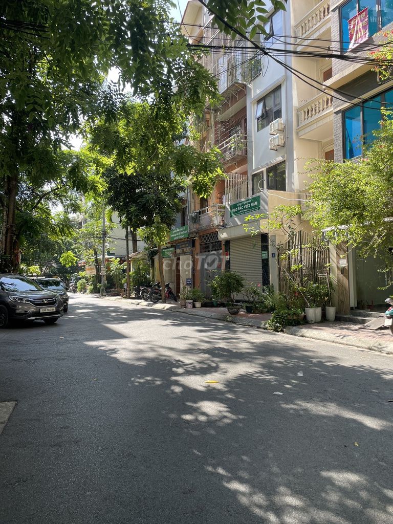 Rent the Peace House, Cầu Giấy
