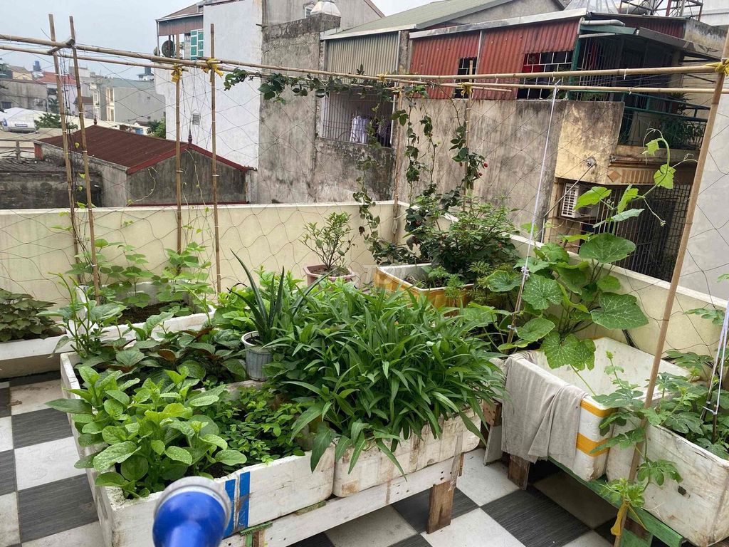 Rent Sài Đồng-50 meters - 2 bedroom - 6 million