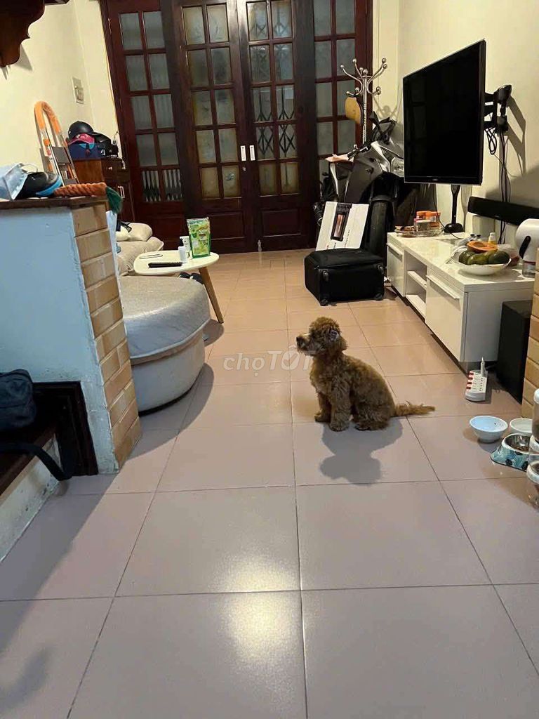 Rent ngọc khánh 30 m2 x 4 floors, 2 bedrooms, rooftops, enough clothes only 14 million