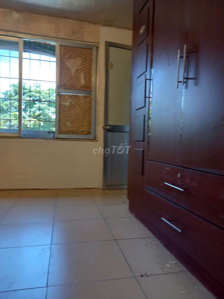 Rent us 4 115 m.2 Thanh Xuân Bắc, 5 rooms