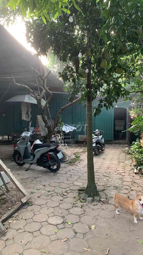garden store