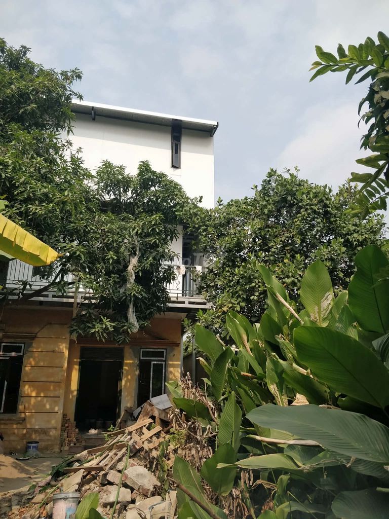 Rent all the houses and gardens at Đông Ngàn - Đông Anh - hn