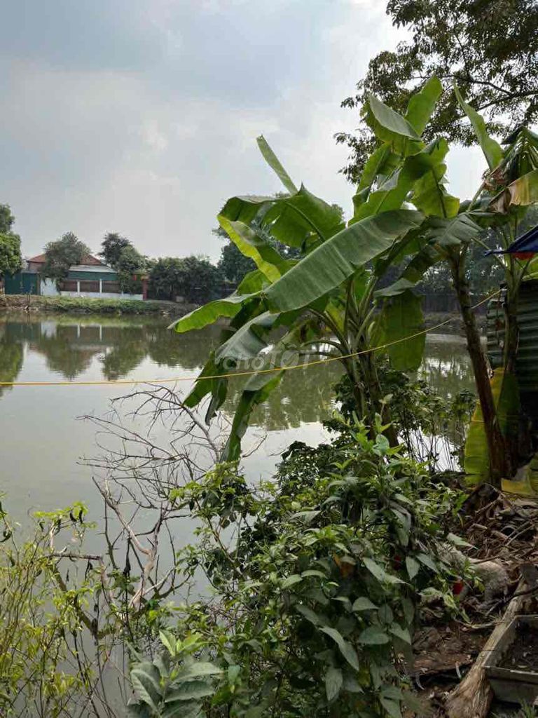 Rent the land that's available to us at 70 meters.