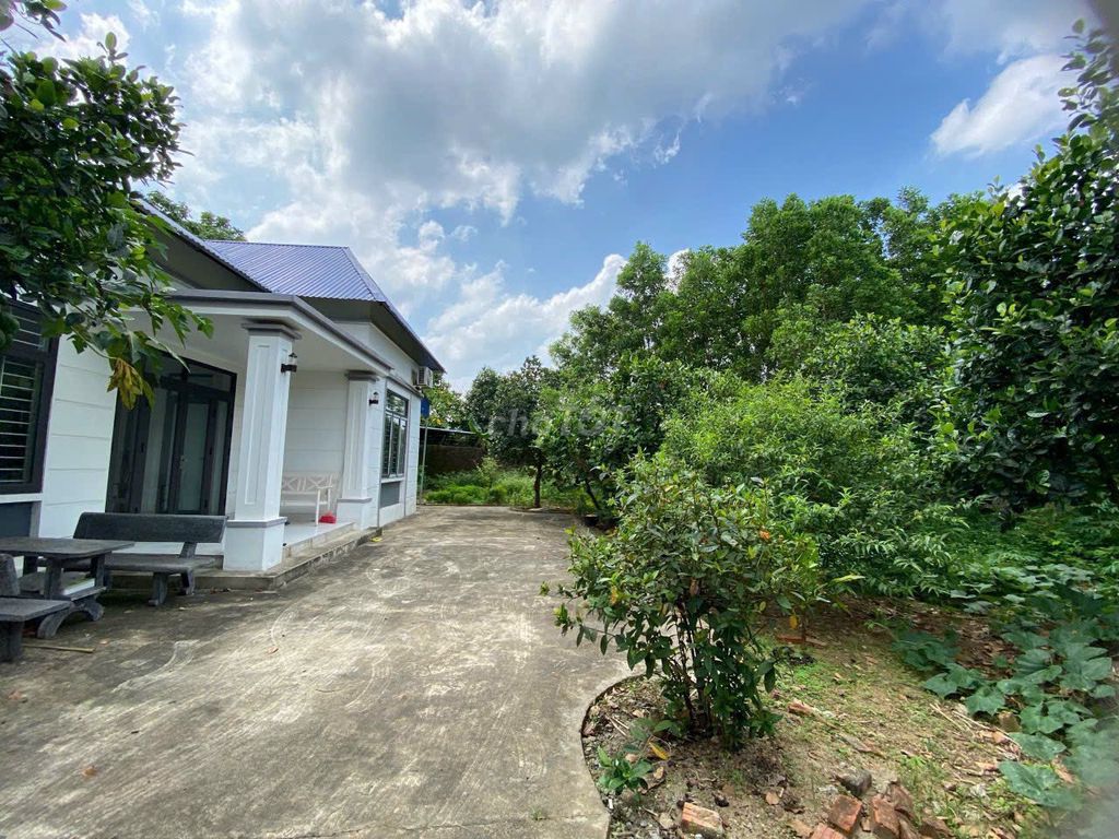 Rent gardens 1,500 m2 in Minh Phú- Sóc Sơn