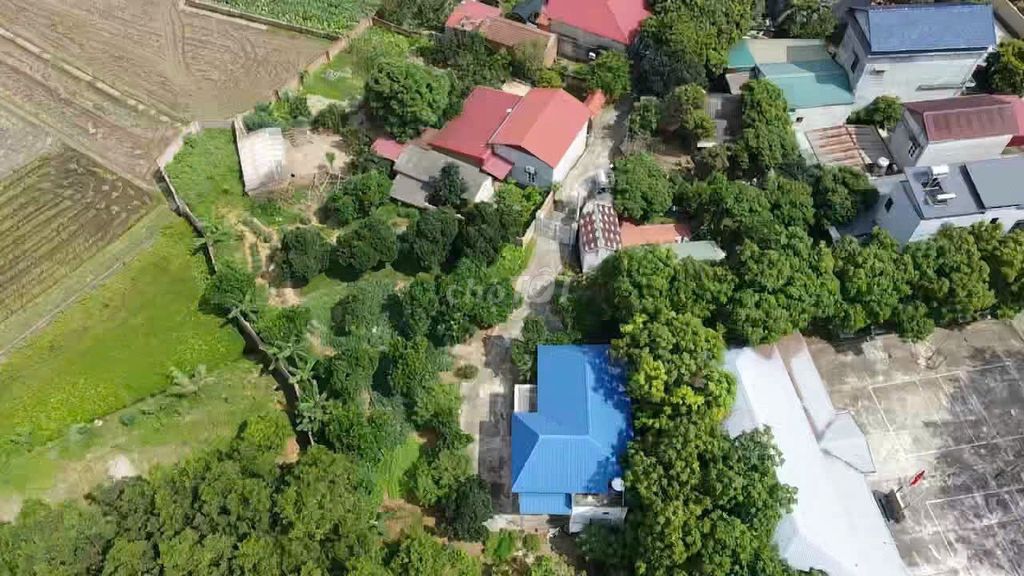Rent gardens 1,500 m2 in Minh Phú- Sóc Sơn