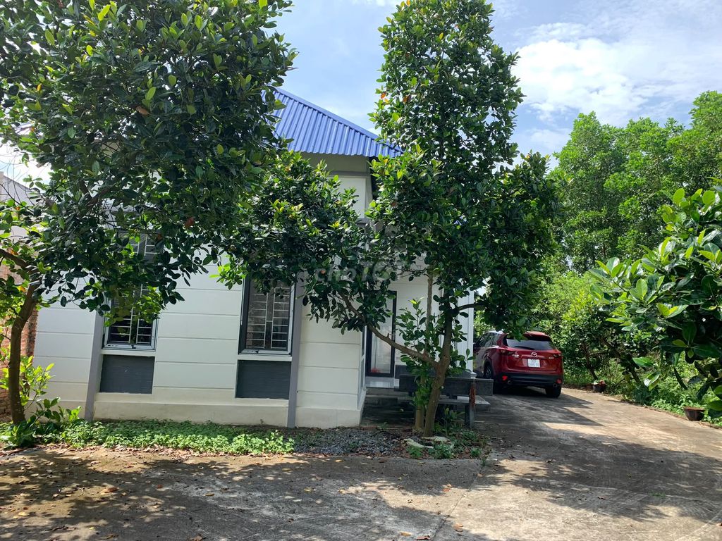 Rent gardens 1,500 m2 in Minh Phú- Sóc Sơn