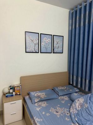 2 bedroom 2 Topaz Home full interior - 8 million