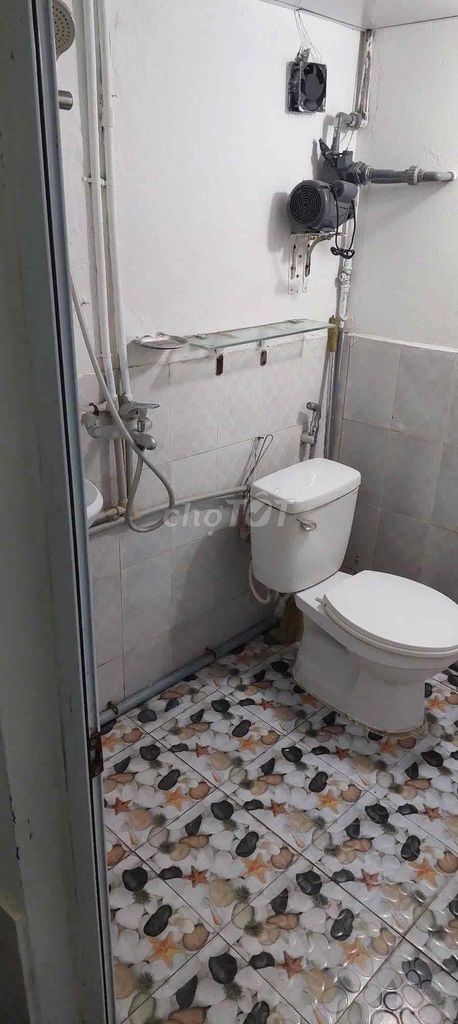 Renting the entire Quỳnh Mai Street house.