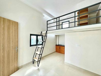 1M6 high guard windows full of furniture in a rich cycle