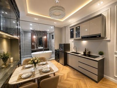 apartment 1 bedroom - 1 toilet (45 m2) full interior, balcony in the Great House. At 11.5 million.
