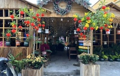 Renting coffeehouses around the corner is a very nice Trần Văn Đang, District Three!
