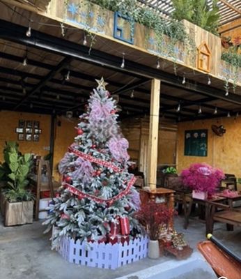 Renting coffeehouses around the corner is a very nice Trần Văn Đang, District Three!