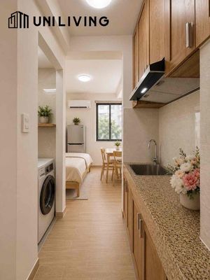It's the owner who rents the mini-full interior apartment, 100 percent new.