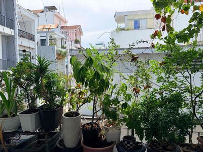1 kitchen bedroom + 1 wr+ Window + Large balcony immediately Lê Văn Sỹ Phú Nhuận