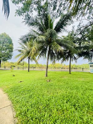 9-Park Riverside-three floors of furniture -3 bedroom 3 toilets