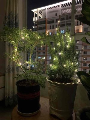 Find a roommate - the owner rents a room - WlLL 2.