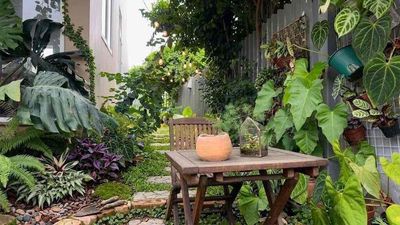 To rent a house, shophouse END village is basically pretty